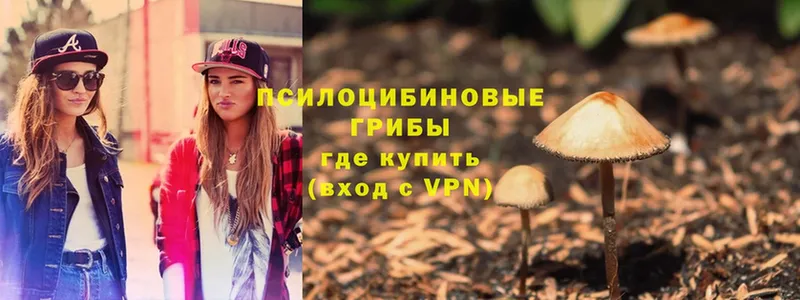 кракен как зайти  хочу наркоту  Кореновск  Галлюциногенные грибы MAGIC MUSHROOMS 